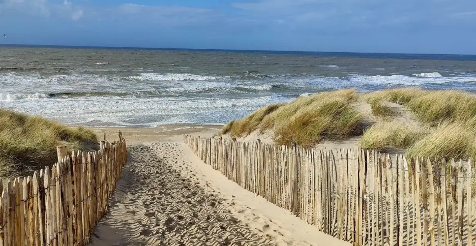 Het duinpad naar het strand