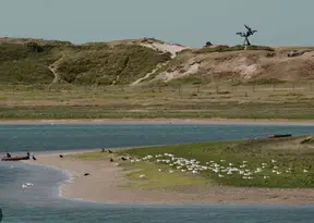Knokke en het Zwin